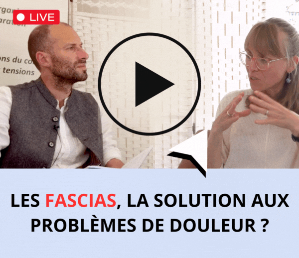 ABF x BOW – Multi-ads n°2