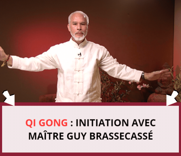 ABF x BRA – Multi-ads n°11