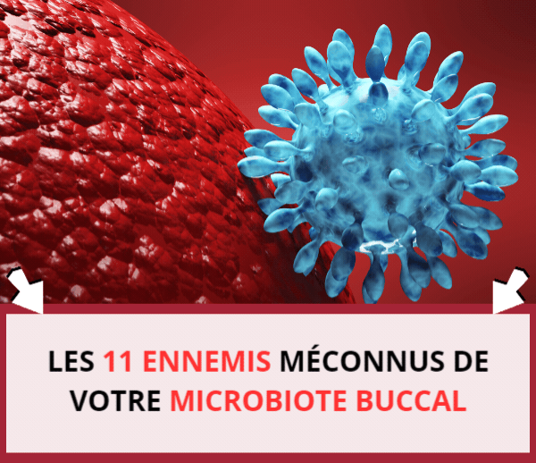 ABF x BUC – Multi-ads n°15