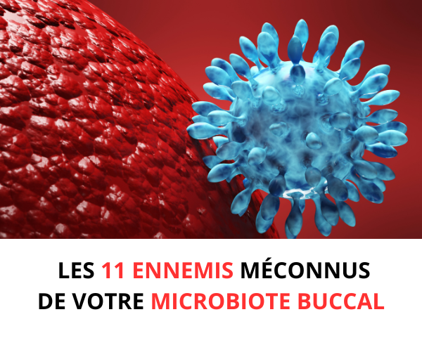 ABF x BUC – Multi-ads n°5