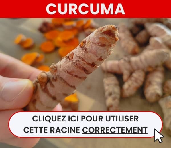 ABF x CUF – Multi-ads n°19