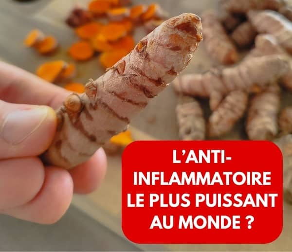 ABF x CUF – Multi-ads n°20