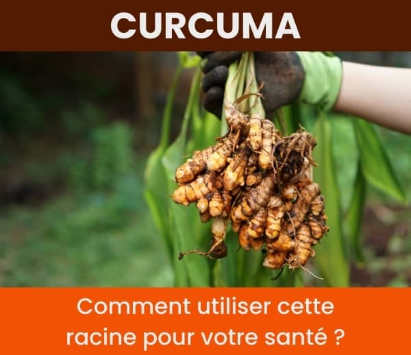 ABF x CUF – Multi-ads n°21
