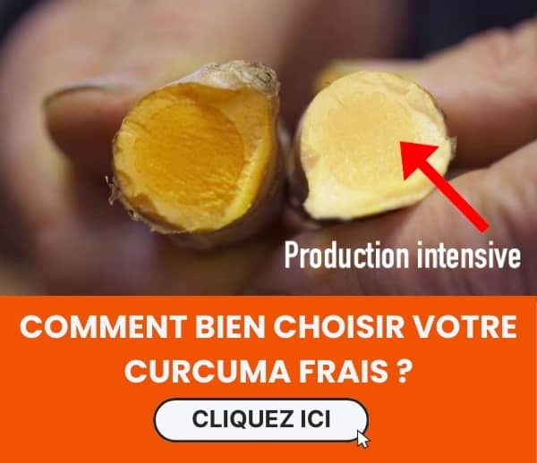ABF x CUF – Multi-ads n°22
