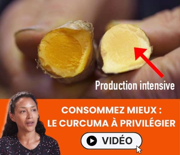 ABF x CUF – Multi-ads n°23