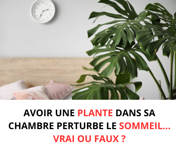 ABF x DAL – Multi-ads n°10