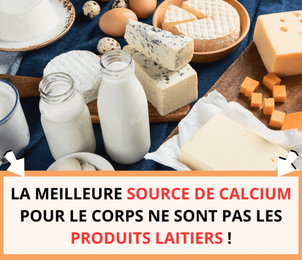 ABF x DAL – Multi-ads n°12