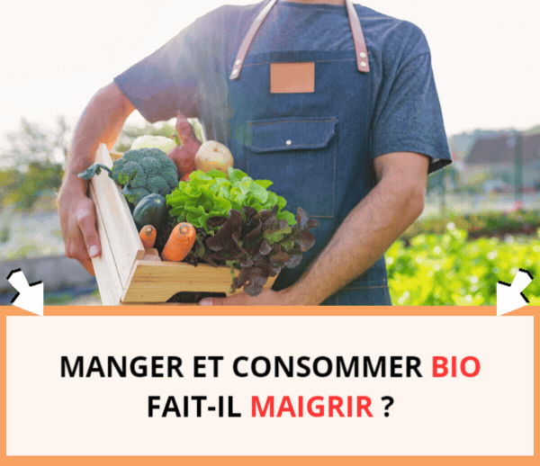 ABF x DAL – Multi-ads n°13