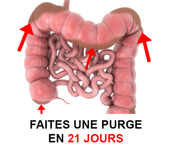 ABF x DCV – Multi-ads n°5