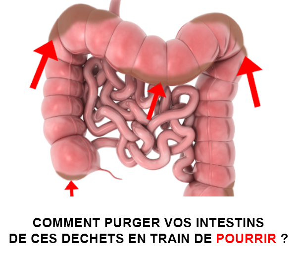 ABF x DCV – Multi-ads n°6
