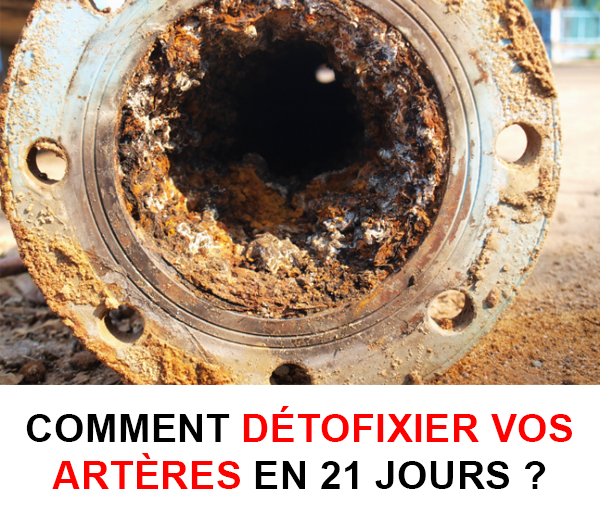 ABF x DCV – Multi-ads n°7