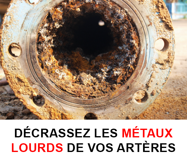 ABF x DCV – Multi-ads n°9
