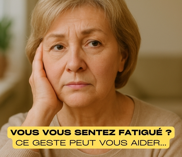ABF x DVM – Multi-ads n°12