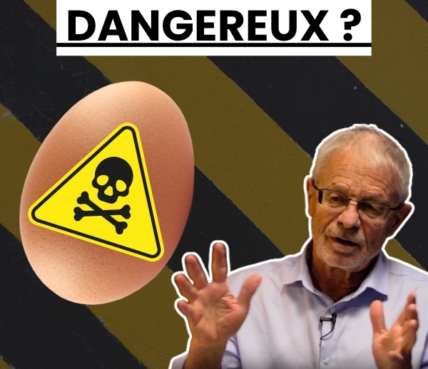 ABF x MDL – Multi-ads n°43