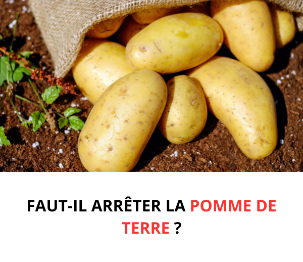 ABF x MDL – Multi-ads n°5