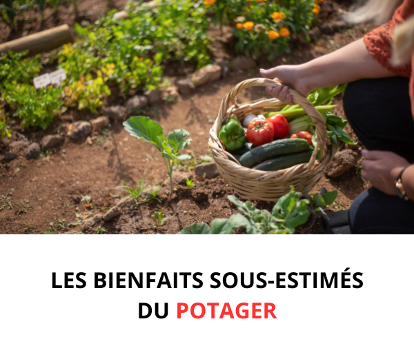 ABF x MDL – Multi-ads n°8