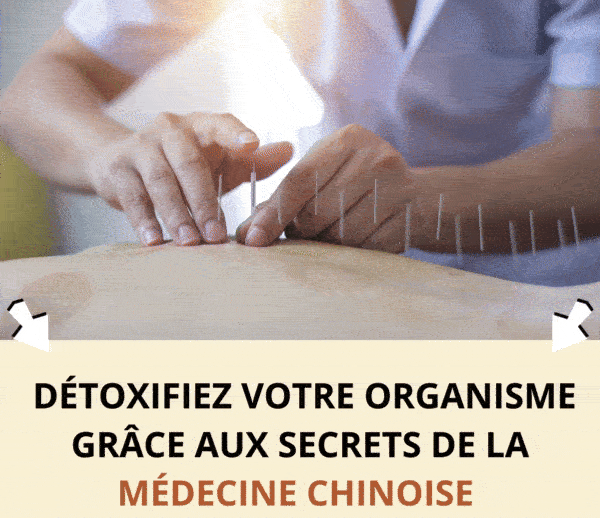 ABF x MTC – Multi-ads n°18