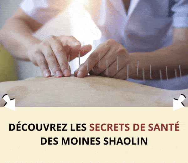 ABF x MTC – Multi-ads n°19