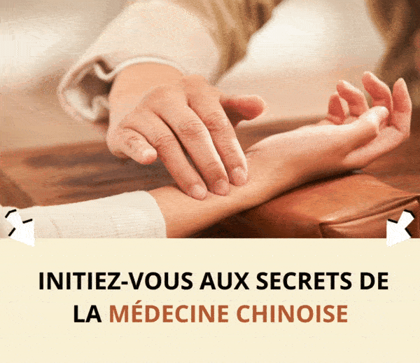 ABF x MTC – Multi-ads n°20