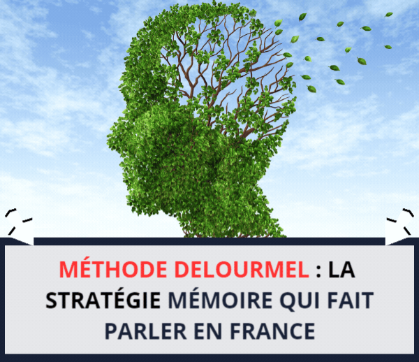 ABF x MVD – Multi-ads n°11