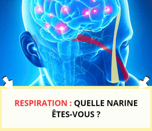 ABF x SPIRO – Multi-ads n°13