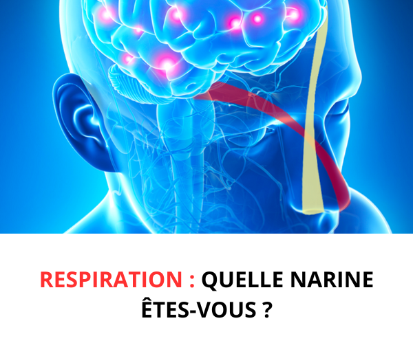 ABF x SPIRO – Multi-ads n°4
