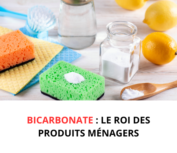 SDN x BIC – Multi-ads n°10