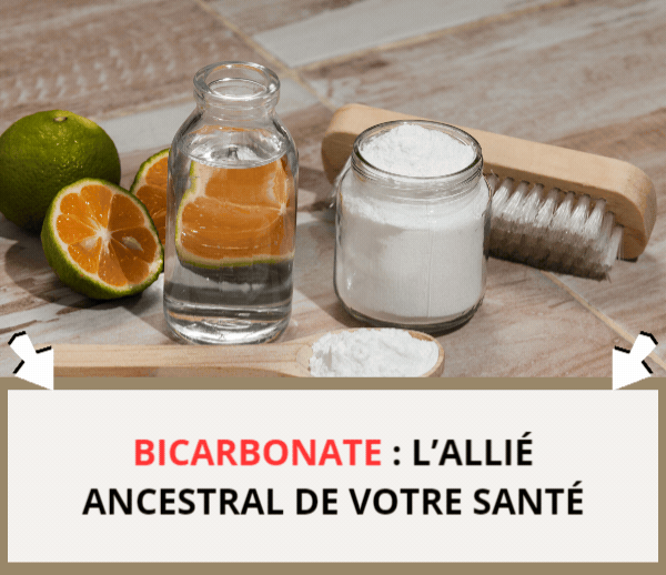 SDN x BIC – Multi-ads n°11