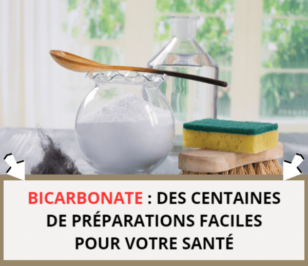 SDN x BIC – Multi-ads n°15
