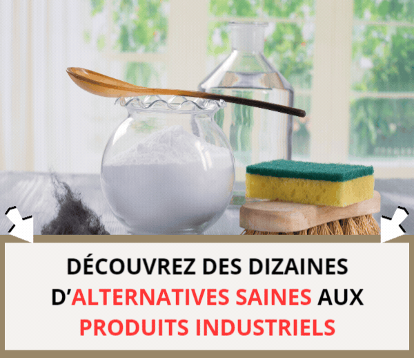 SDN x BIC – Multi-ads n°16