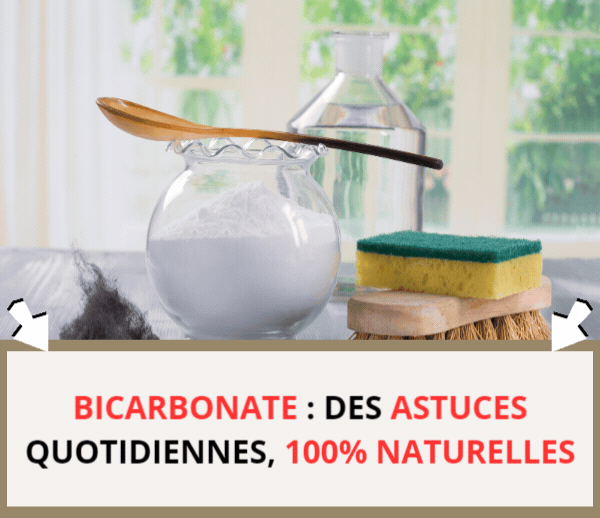SDN x BIC – Multi-ads n°17