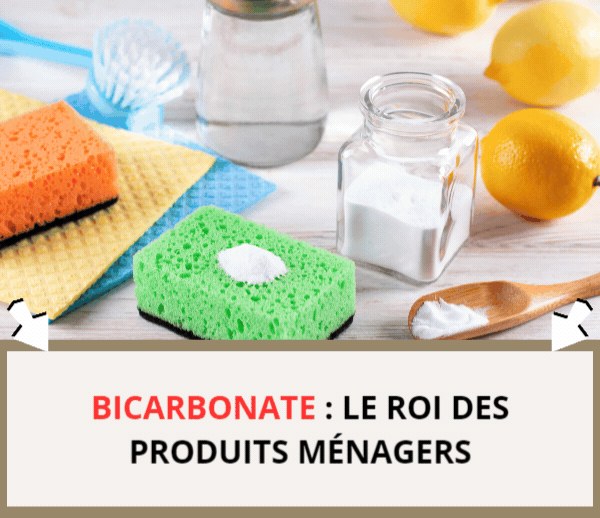 SDN x BIC – Multi-ads n°20