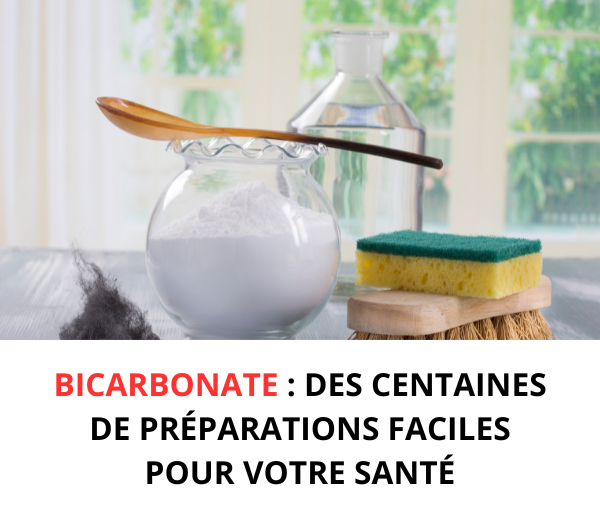SDN x BIC – Multi-ads n°5