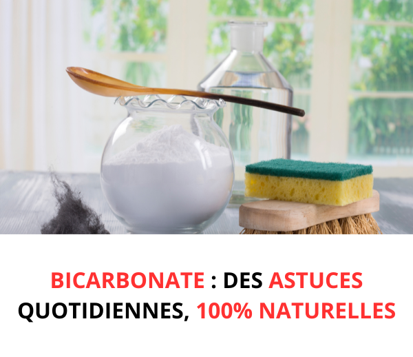 SDN x BIC – Multi-ads n°6