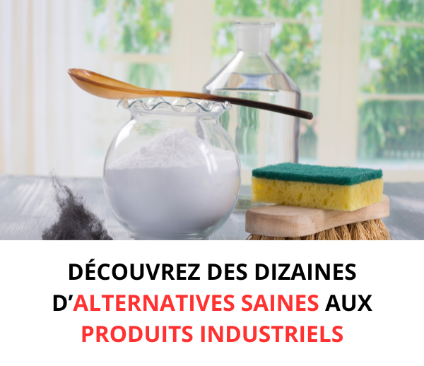 SDN x BIC – Multi-ads n°7