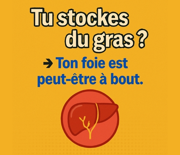 SDN x DDF Minceur – Multi-ads n°50