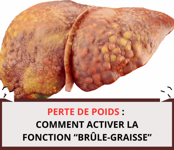 SDN x DDF Minceur – Multi-ads n°15