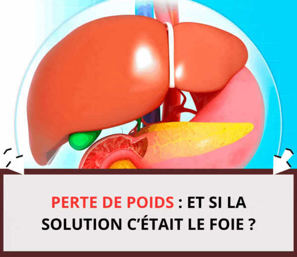 SDN x DDF Minceur – Multi-ads n°16