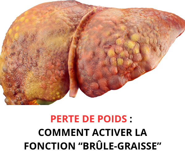 SDN x DDF Minceur – Multi-ads n°5