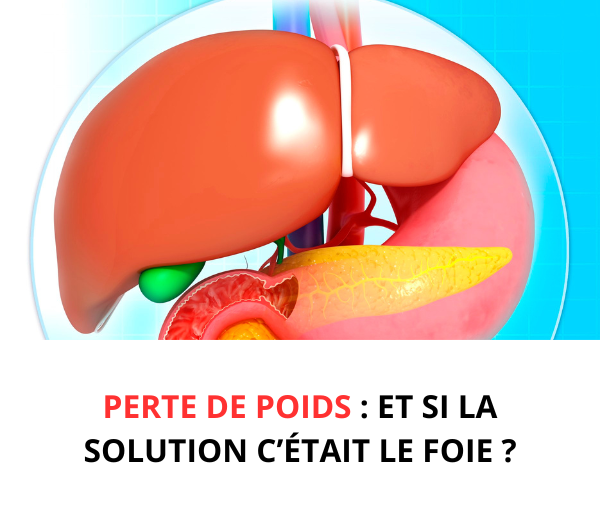SDN x DDF Minceur – Multi-ads n°6