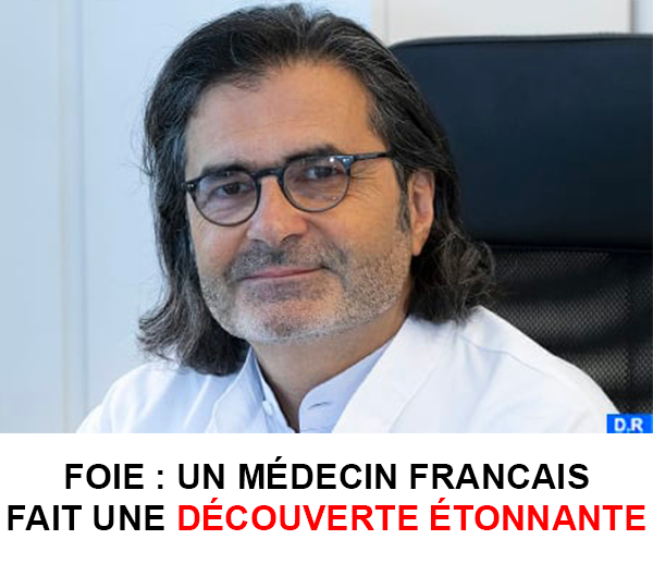 SDN x DDF – Multi-ads n°17