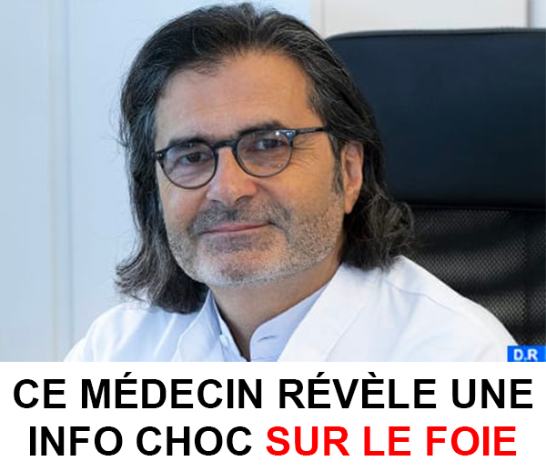 SDN x DDF – Multi-ads n°18