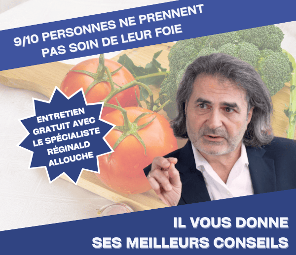 SDN x DDF – Multi-ads n°21