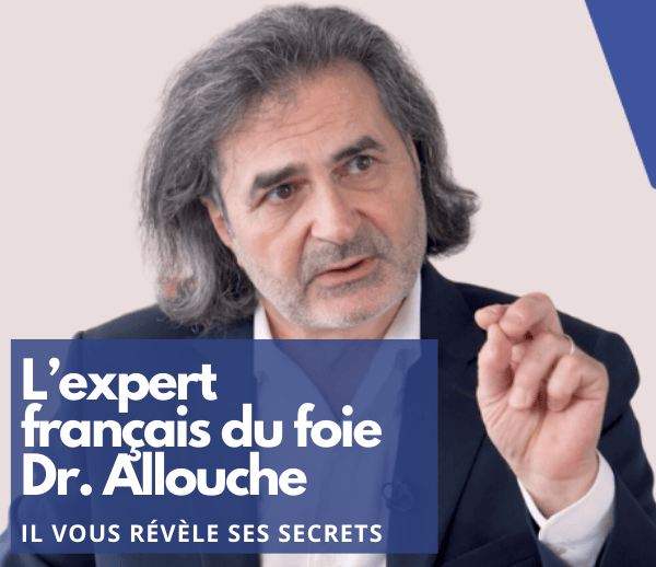 SDN x DDF – Multi-ads n°24