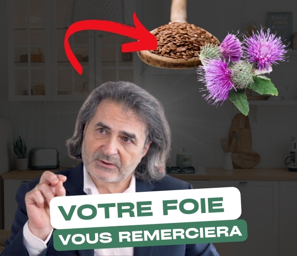 SDN x DDF – Multi-ads n°30