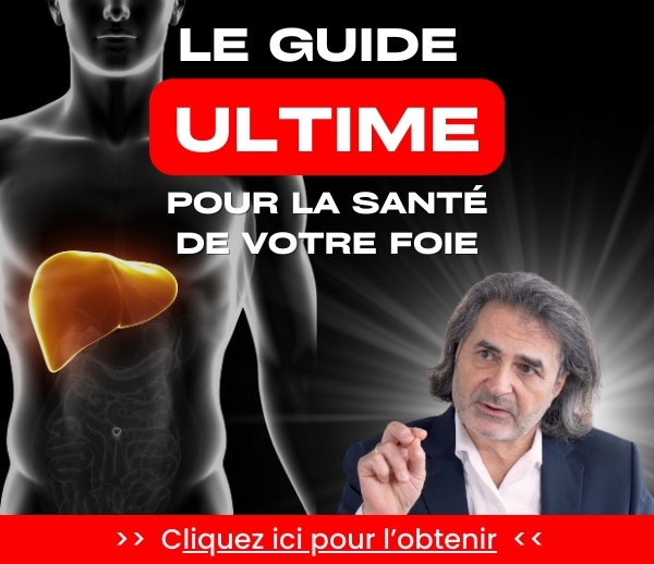 SDN x DDF – Multi-ads n°32