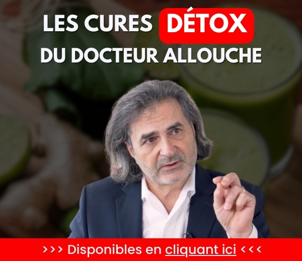 SDN x DDF – Multi-ads n°33