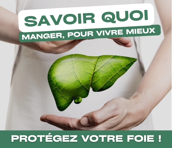SDN x DDF – Multi-ads n°34