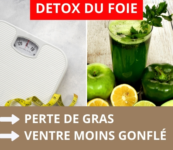 SDN x DDF – Multi-ads n°35