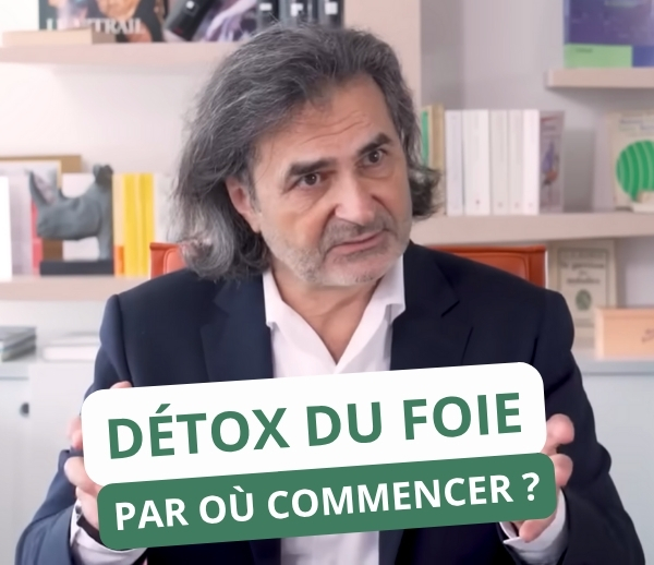 SDN x DDF – Multi-ads n°39